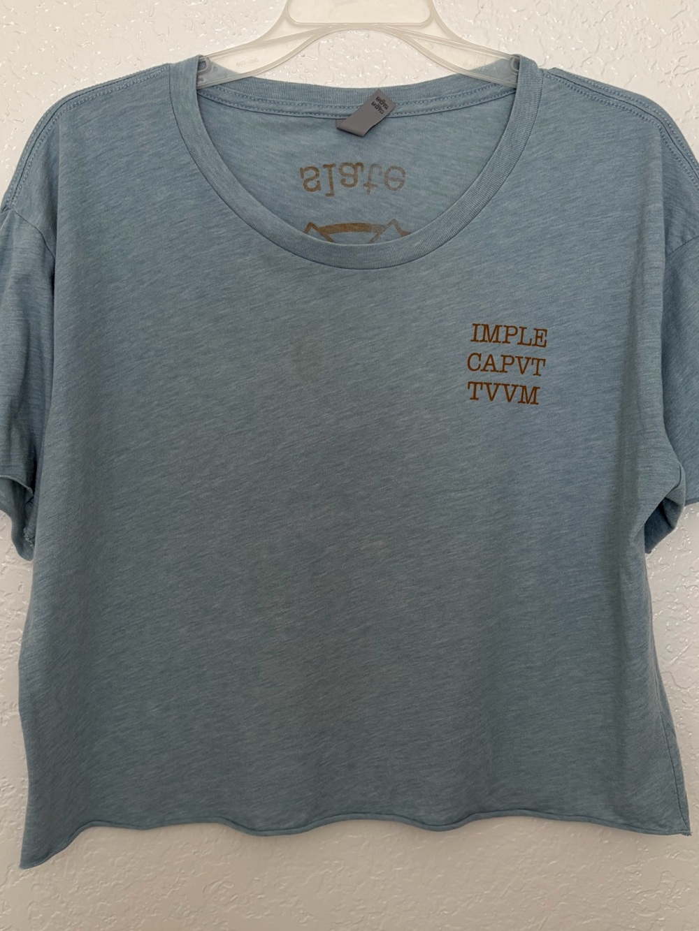 Slate Theory Heather Blue Graphic Cropped Tee Women's US Size XL